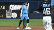 Blue Jays Baseball GIF by Toronto Blue Jays