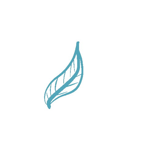 Leaf Sticker