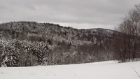 Wintry Scene Captured After Heavy Snowfall in Vermont