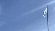 general assembly flag GIF by United Nations