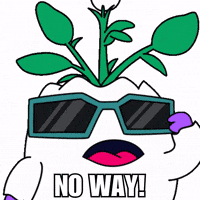 No Way Wow GIF by Magic Eden