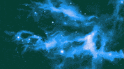 johnbeckers cat space pizza cats GIF