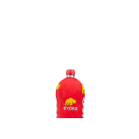 evokeenergybrasil energy rhino energydrink evoke Sticker