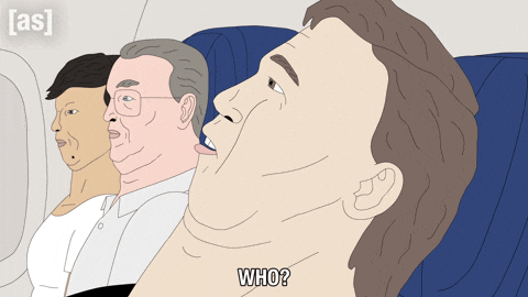 Dad Airplane GIF by Adult Swim