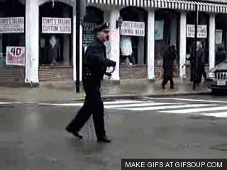 cops GIF