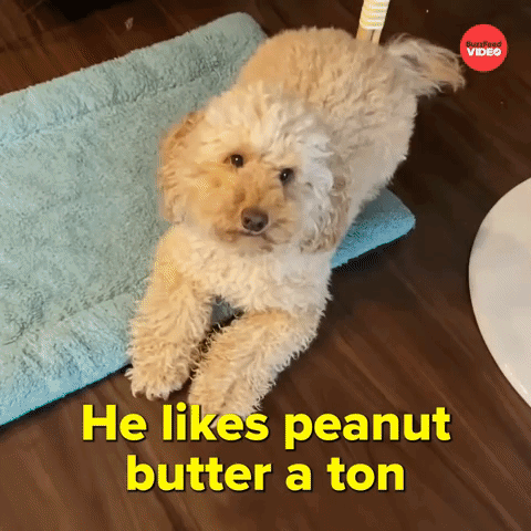 She likes peanut butter