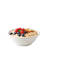 strauss-group oatmeal quaker שיבולת שועל קוואקר Sticker