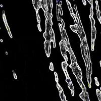 balazsvarga loop trippy psychedelic water GIF