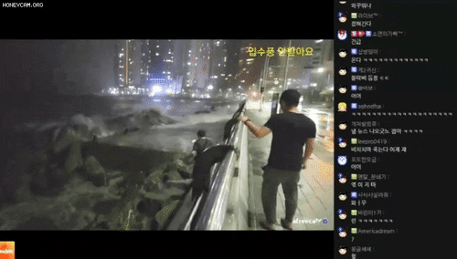 sosososo3989 giphyupload GIF