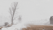 Snow Winter GIF