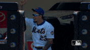 Regular Season Dance GIF by MLB