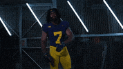 Go Blue Ncaa Football GIF by Michigan Athletics