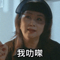 Tiger Mirror GIF by ViuTV