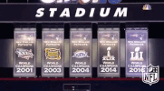 New England Patriots Football GIF by NFL