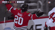 nhl sports hockey nhl ice hockey GIF