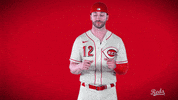 Tyler Naquin GIF by Cincinnati Reds