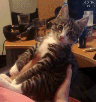 face kiss GIF