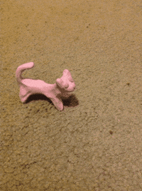 niece GIF