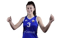 Basketball Vbl Sticker by 4Consult / Binnenland