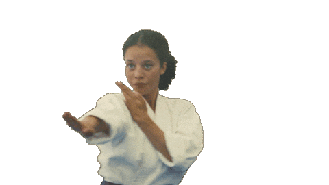 Karate Sticker by Warner Bros. Pictures