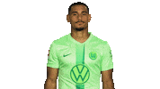 France No Sticker by VfL Wolfsburg