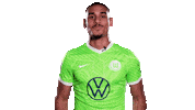 Happy Football Sticker by VfL Wolfsburg