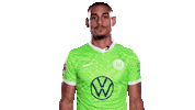 Happy Football Sticker by VfL Wolfsburg