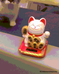 Cuteness Copycat GIF