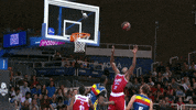 liga endesa basketball GIF by ACB