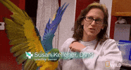 nat geo wild pets GIF by Dr. K's Exotic Animal ER