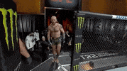 Brian Kelleher Sport GIF by UFC