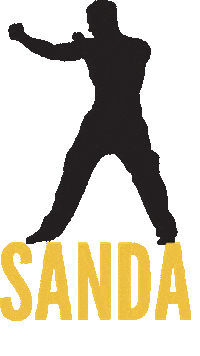 Calcio Sora Sticker by Champion Training Sanda Martial Art