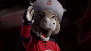 Hockey Mascot GIF by Rapid City Rush