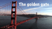 The Golden Gate GIF by DashyDigital