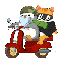 On My Way Cat Sticker by Pudgy Penguins