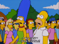 homer simpson GIF