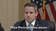 Jan 6 Hearing GIF by GIPHY News
