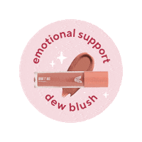 Make Up Blush Sticker by Vice Cosmetics