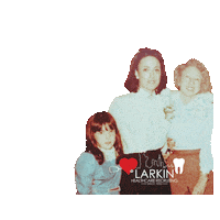 larkinagency healthcare recruitment staffing larkin Sticker