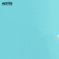 GIF by Viral Amplifier