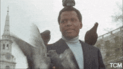 Happy Sidney Poitier GIF by Turner Classic Movies
