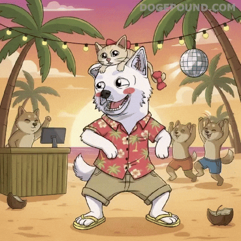 Happy Shiba Inu GIF by Doge Pound
