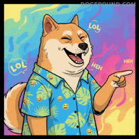 Happy Shiba Inu GIF by Doge Pound