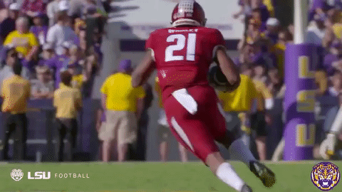 College Sports Sport GIF by LSU Tigers
