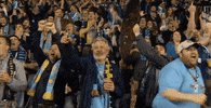 fans point GIF by Philadelphia Union