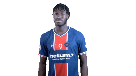 France Ok Sticker by Paris Saint-Germain Handball