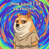 Shiba Inu Oops GIF by Doge Pound