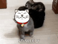 Needsleep Omg GIF by ShiroNeko