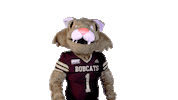 Boko Sticker by Texas State University