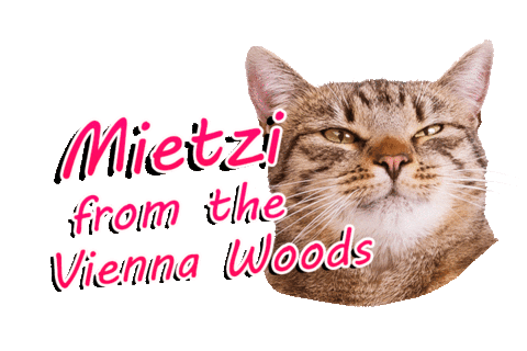 Cat Sticker by ViennaTouristboard
